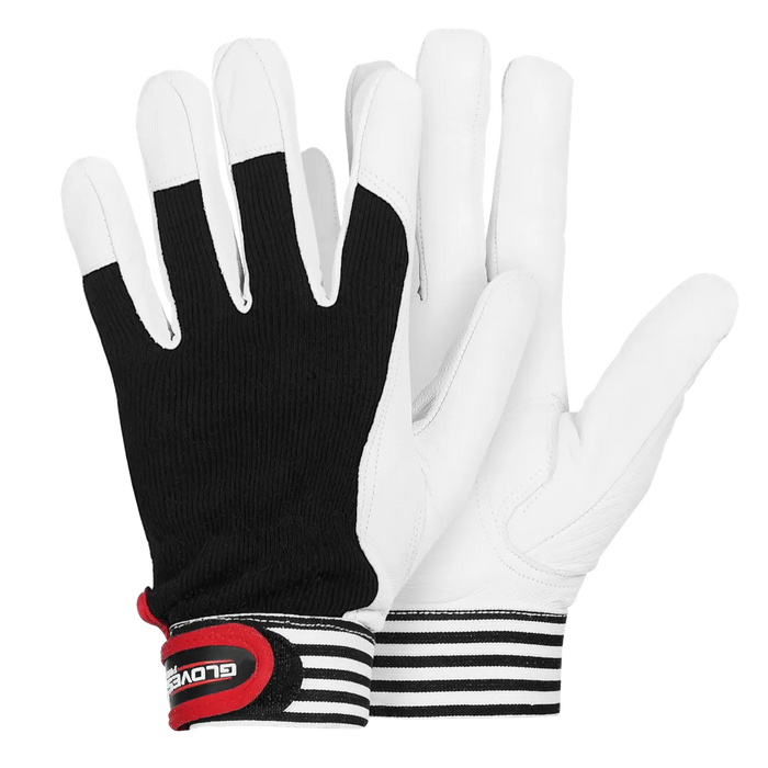 DEX 6